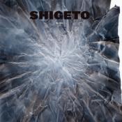 Shigeto w Świdnicy